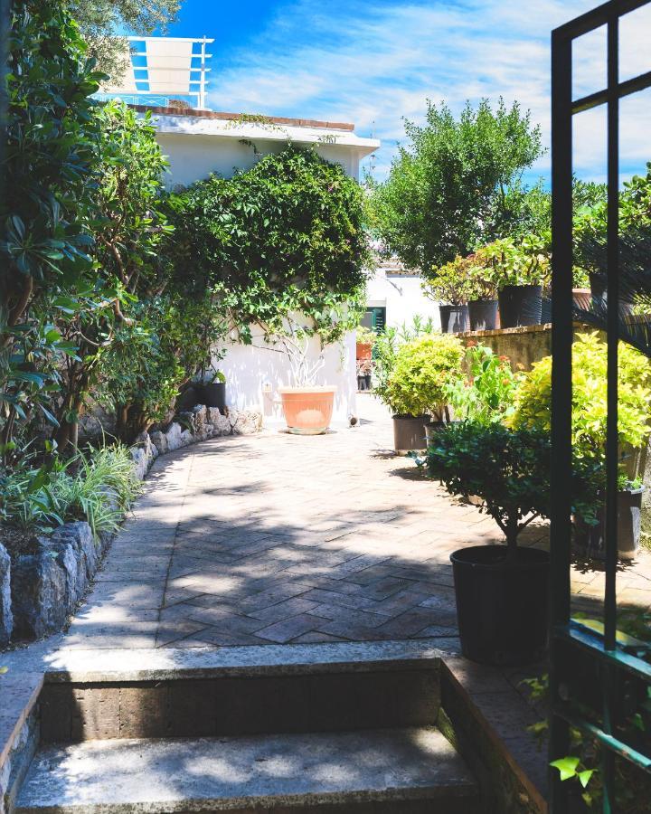 Bed and Breakfast Parco Augusto Capri Exteriér fotografie